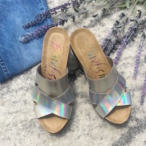 Blowfish Holographic Wedges